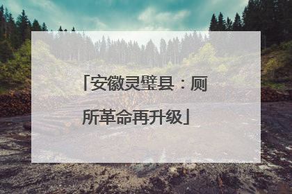 安徽灵璧县：厕所革命再升级